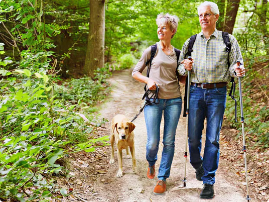 Älteres Paar beim Waldspaziergang mit Hund und Wanderstöcken auf einem Pfad
