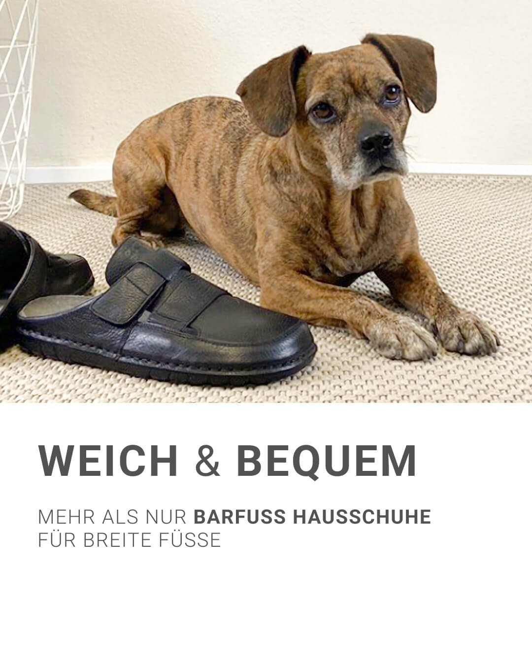 Hausschuhe_von_BAR_mob